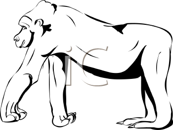 Primate Clipart