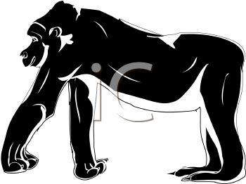 Primate Clipart