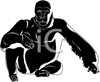 Primate Clipart