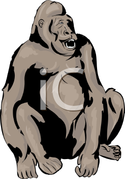 Primate Clipart
