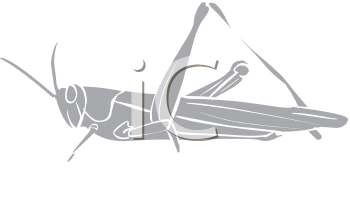 Insect Clipart