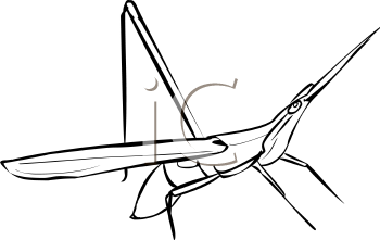 Insect Clipart