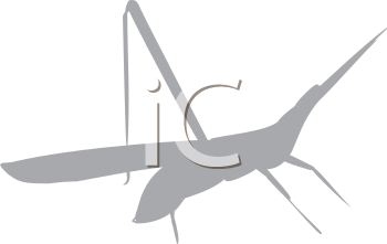 Insect Clipart
