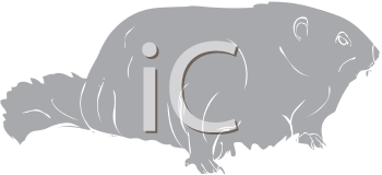Rodent Clipart