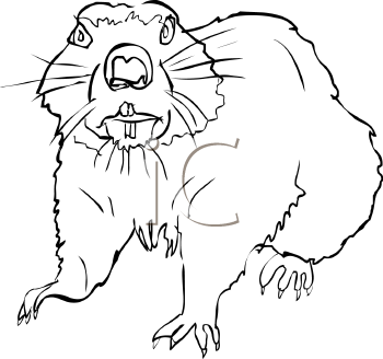 Rodent Clipart