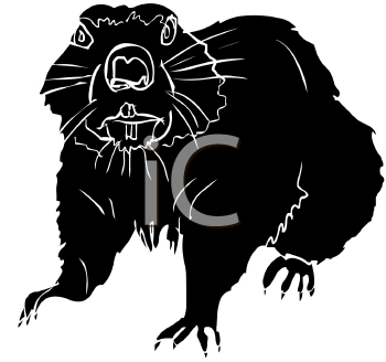 Rodent Clipart