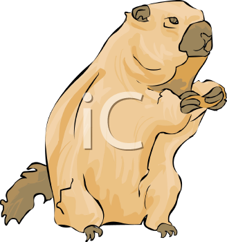Rodent Clipart