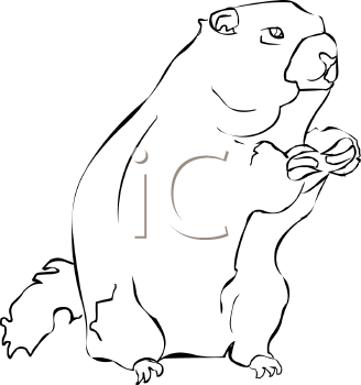 Rodent Clipart