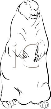 Rodent Clipart