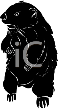 Rodent Clipart