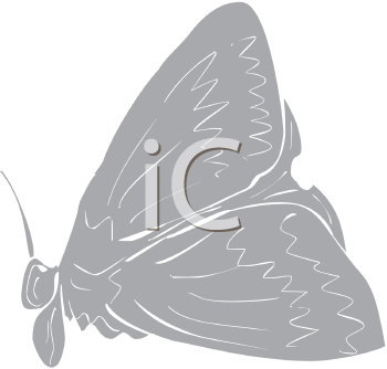 Insect Clipart