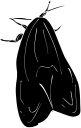 Insect Clipart