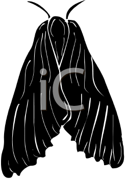 Insect Clipart