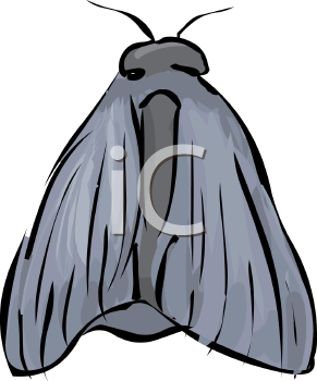 Insect Clipart