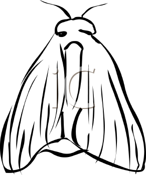 Insect Clipart
