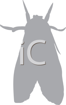 Insect Clipart