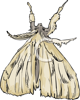 Insect Clipart