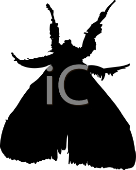 Insect Clipart