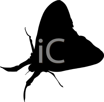 Insect Clipart