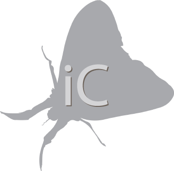 Insect Clipart