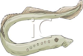 Fish and Sea Life Clipart
