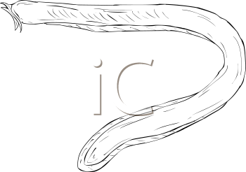 Fish and Sea Life Clipart