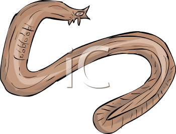 Fish and Sea Life Clipart