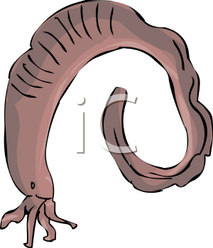 Fish and Sea Life Clipart