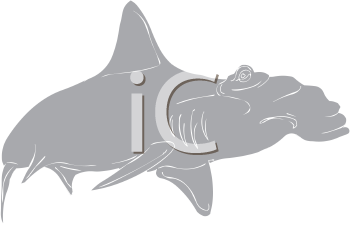 Fish and Sea Life Clipart