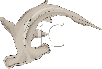 Fish and Sea Life Clipart