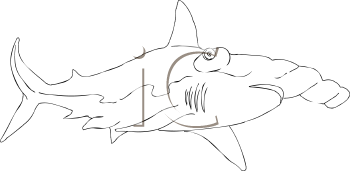 Fish and Sea Life Clipart