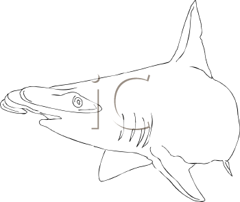 Fish and Sea Life Clipart