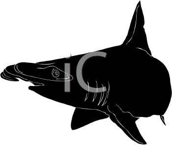 Fish and Sea Life Clipart