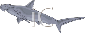 Fish and Sea Life Clipart