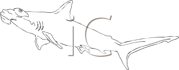 Fish and Sea Life Clipart