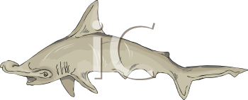 Fish and Sea Life Clipart