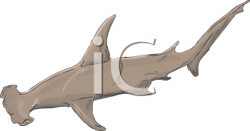 Fish and Sea Life Clipart