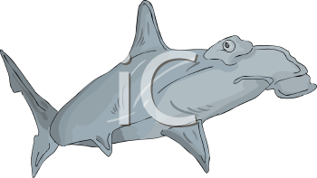 Fish and Sea Life Clipart