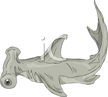 Fish and Sea Life Clipart