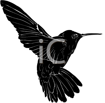 Bird Clipart