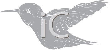 Bird Clipart