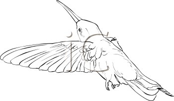Bird Clipart