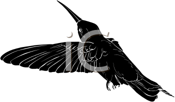 Bird Clipart