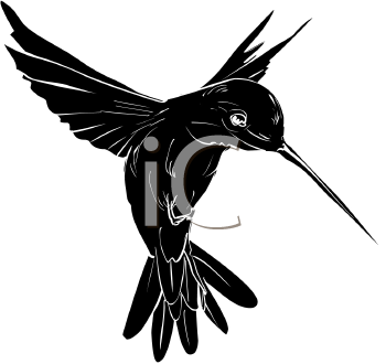 Bird Clipart