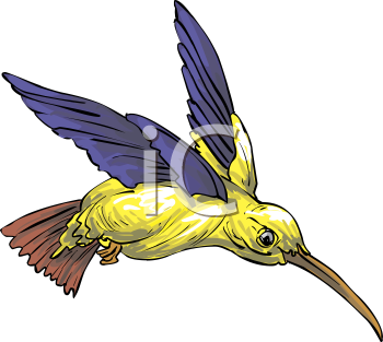 Bird Clipart