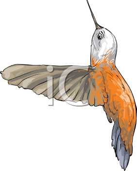 Bird Clipart