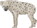 Animal Clipart