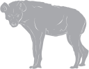 Animal Clipart