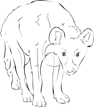 Animal Clipart