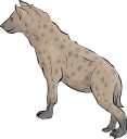 Animal Clipart